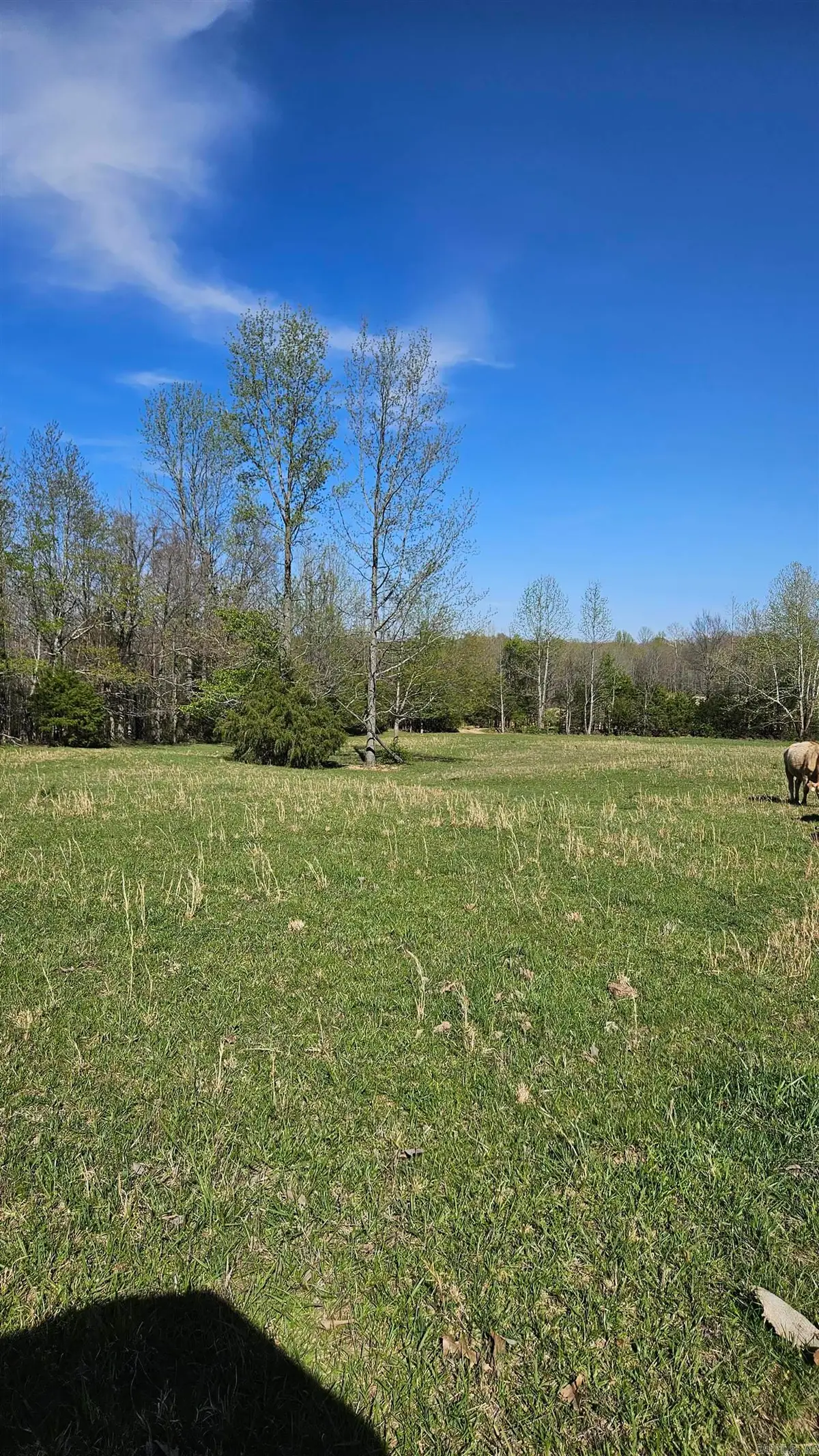 194 County Road 426, Rector, AR 72461 - Image #1