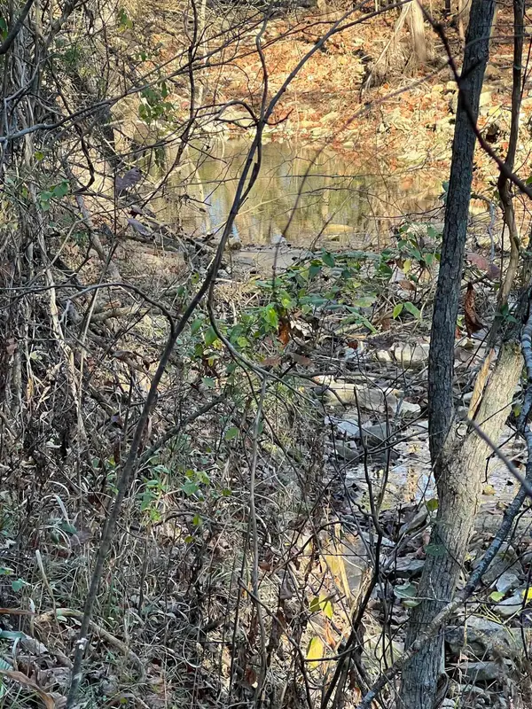 001-08378-001 W Hwy 62, Pyatt, AR 72672