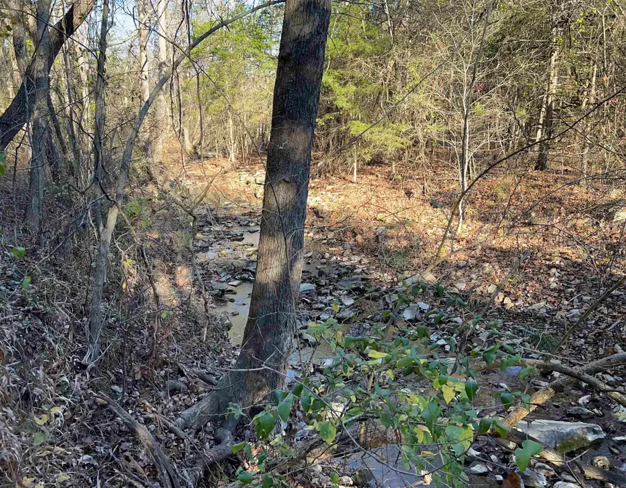 001-08378-001 W Hwy 62, Pyatt, AR 72672 - Image #3