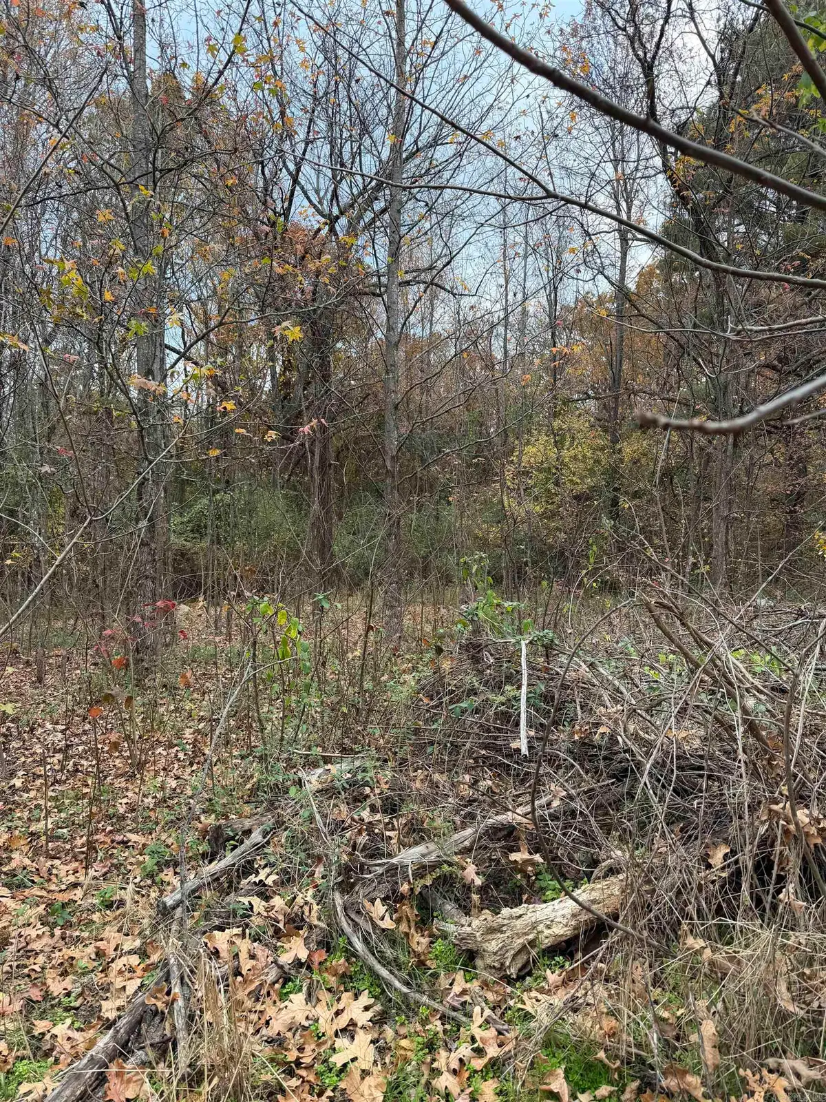 Address Withheld By Seller, Mountain View, AR 72560 - Image #1