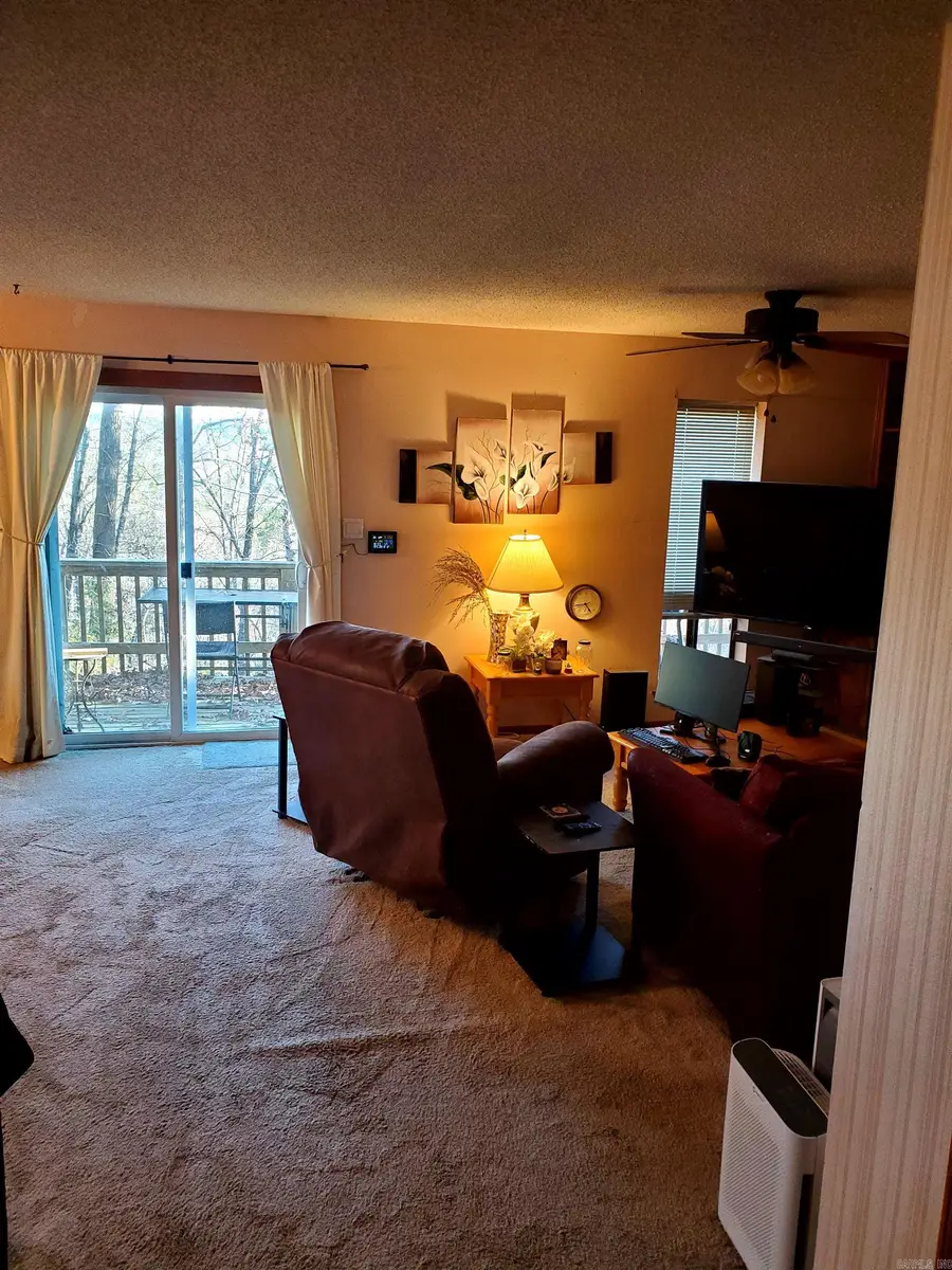 113 Sky King Drive, Fairfield Bay, AR 72088 - Image #3