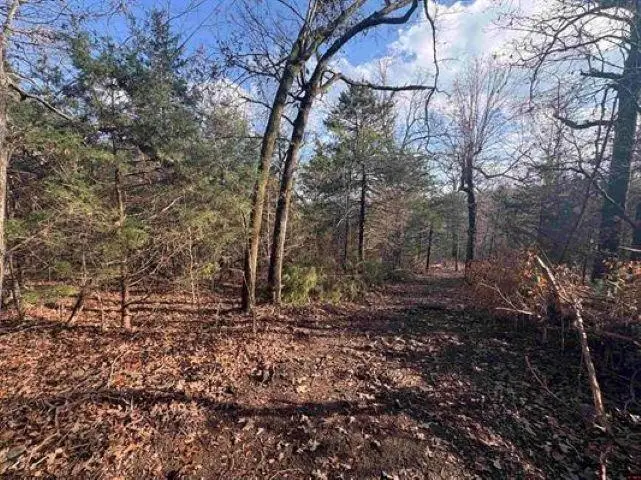 Tract C & D Hwy 101, Gamaliel, AR 72537 - Image #3