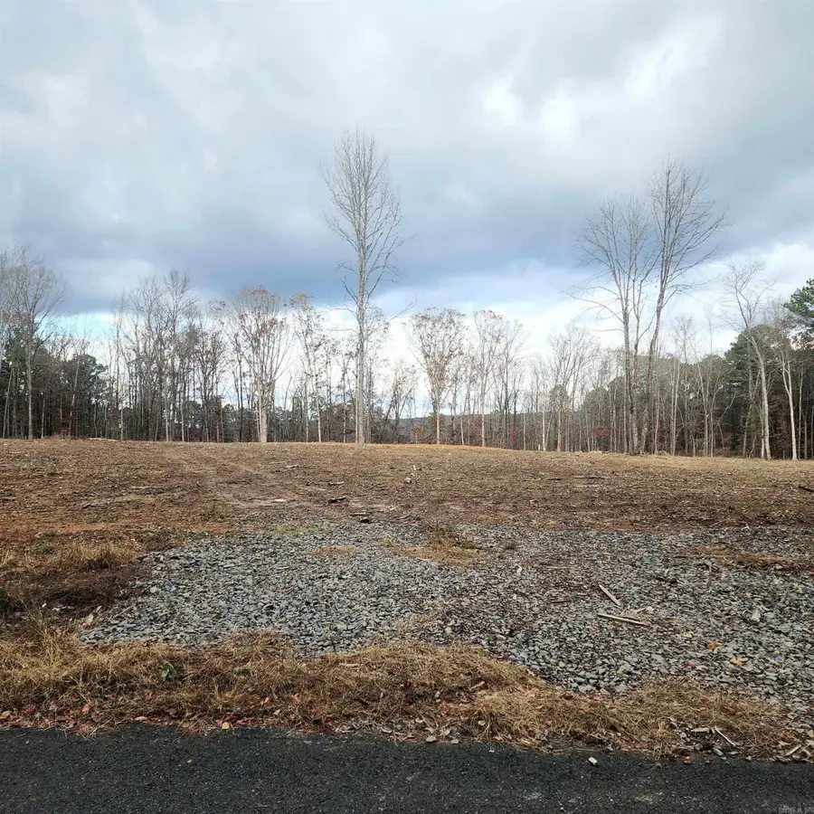 0 The Bluffs, Morgan, AR 72088 - Image #2