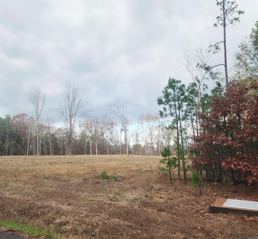 0 The Bluffs, Morgan, AR 72088 - Image #3