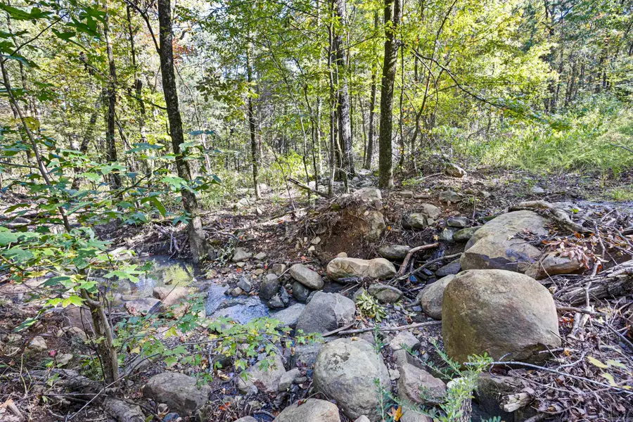 Ar 155, Dardanelle, AR 72834 - Image #3