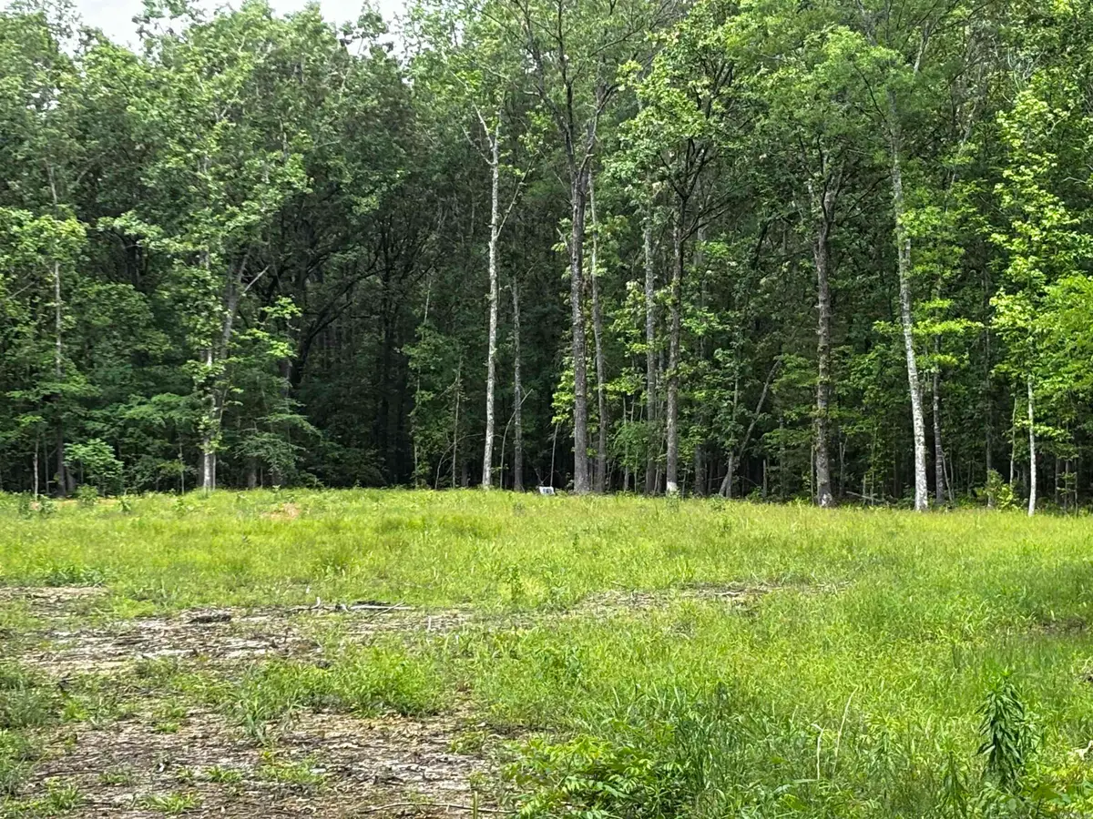 00 Gold Hill Road, Atkins, AR 72823 - Image #1