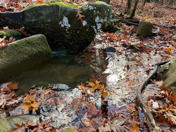 Cr 961, Green For., AR 72638