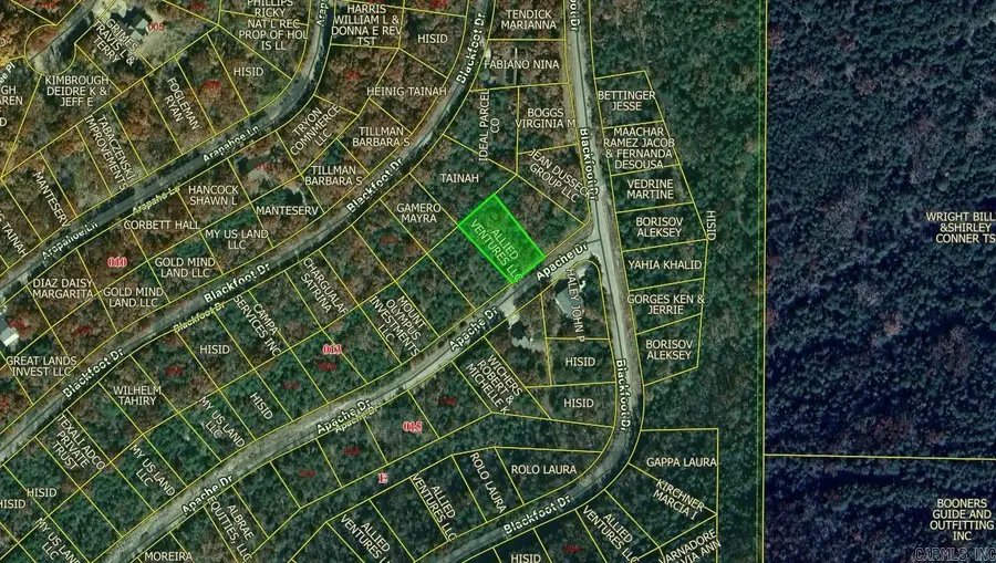 Lot 4 Apache Drive, Holiday Island, AR 72631 - Image #2