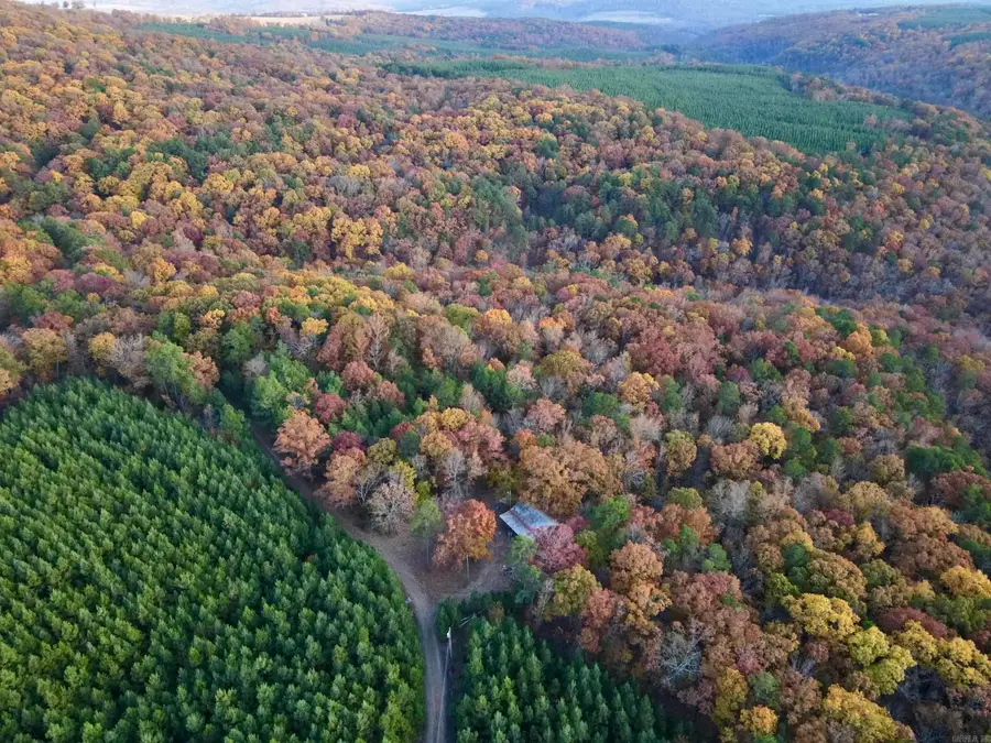 Address Withheld By Seller, Clinton, AR 72031 - #3