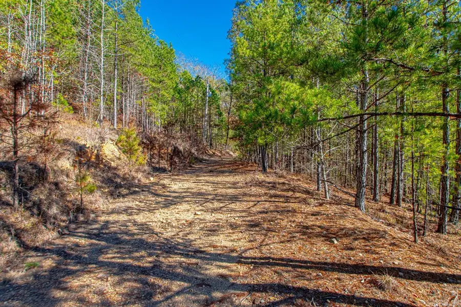Lot 30 Brush Mountain Trail, Paron, AR 72122 - Image #2