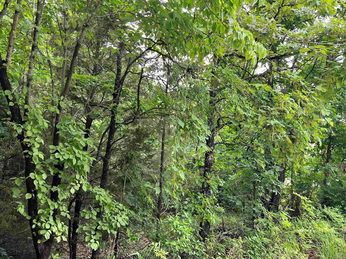 000 Hwy 63 S, Mammoth Spring, AR 72554 - Image #1