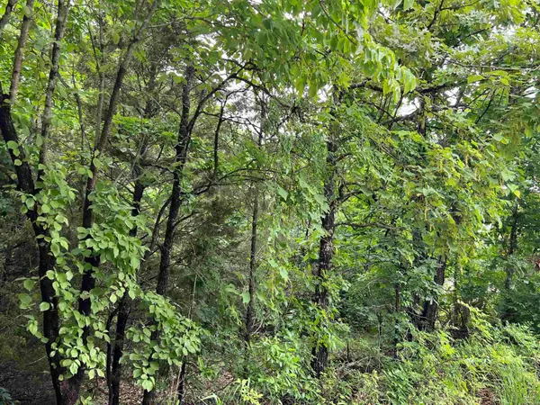 000 Hwy 63 S, Mammoth Spring, AR 72554