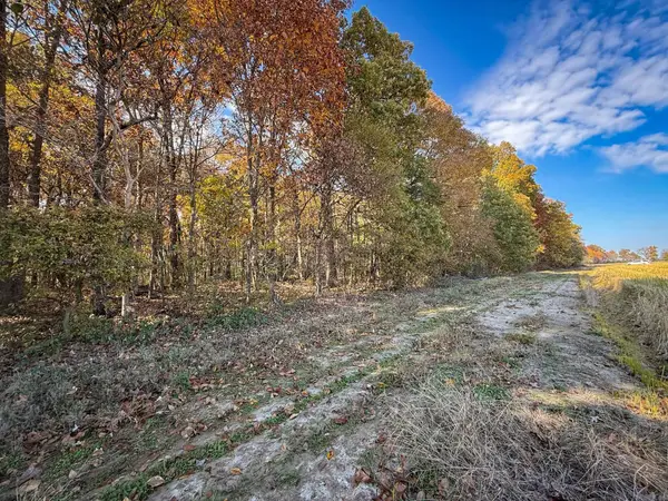 County Road 105, Hickory Ridge, AR 72347