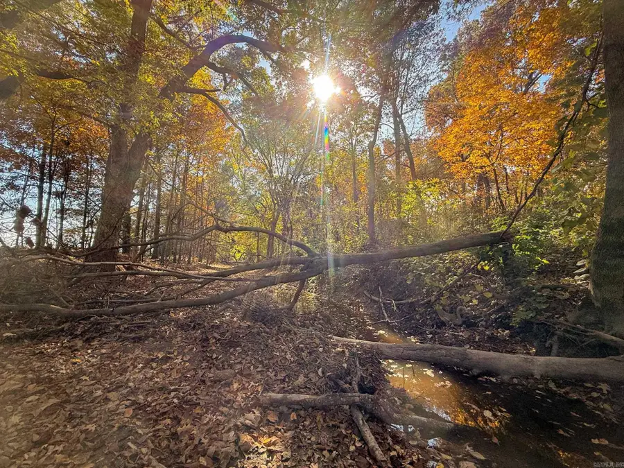 County Road 105, Hickory Ridge, AR 72347 - Image #2