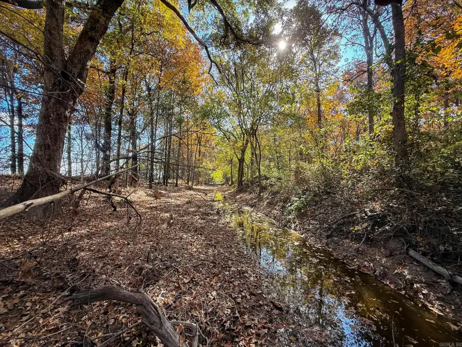 County Road 105, Hickory Ridge, AR 72347 - Image #3