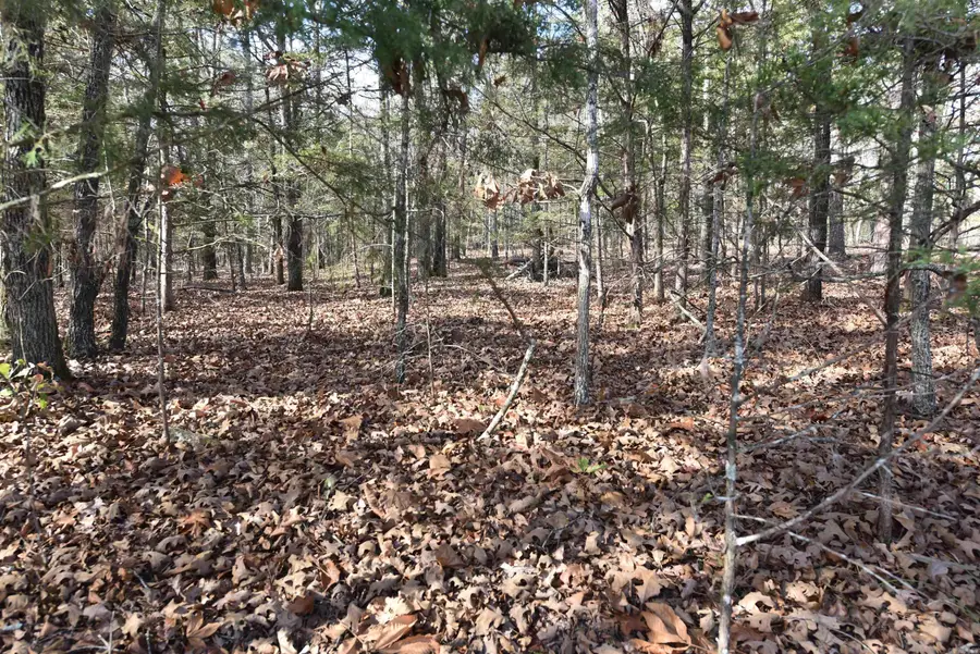 Lot 53 Sunnyside Avenue, Fairfield Bay, AR 72088 - Image #2