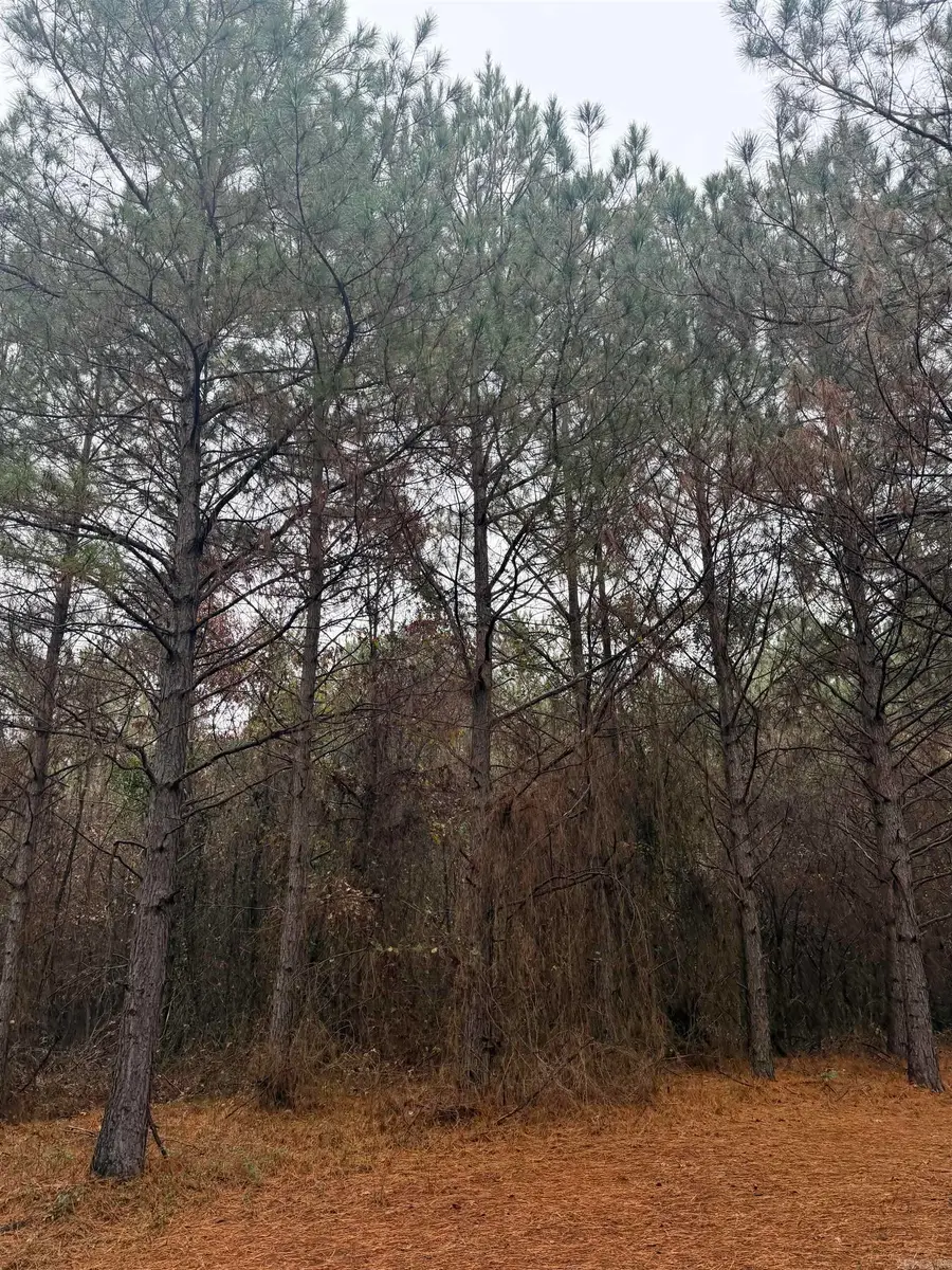 TBD Loan Oak Road, Lockesburg, AR 71846 - Image #2