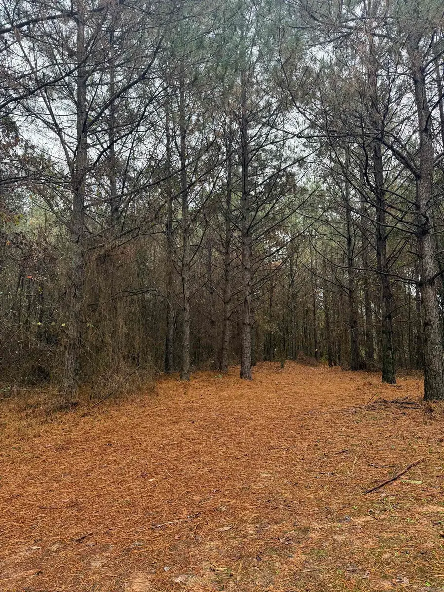 TBD Loan Oak Road, Lockesburg, AR 71846 - Image #3