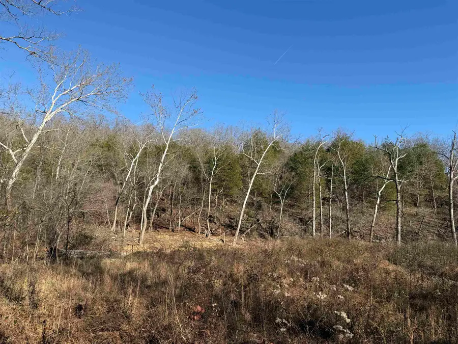 00 Hwy 63, Ravenden, AR 72459 - Image #3