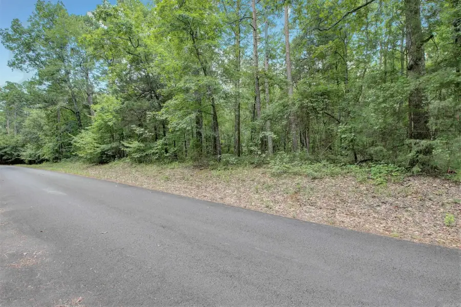 16 Pedrera Lane, Hot Springs Village, AR 71909 - Image #3