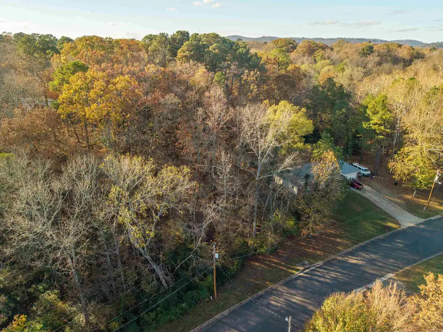 Lot 14 Apache Street, Hot Springs, AR 71901 - Image #3