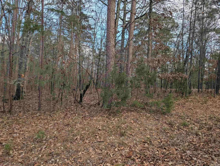 2 Morro Place, Hot Springs Village, AR 71909 - Image #2