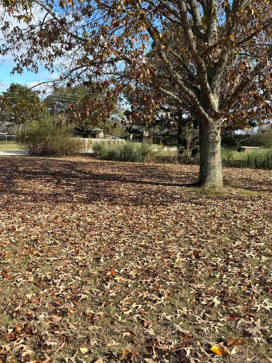 1617 Highway 26 East, Delight, AR 71940 - Image #3