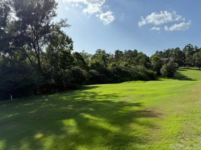 35 Jardinero Way, Hot Springs Village, AR 71909 - Image #2