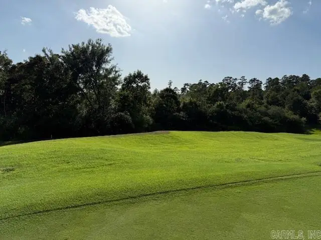 35 Jardinero Way, Hot Springs Village, AR 71909 - Image #3