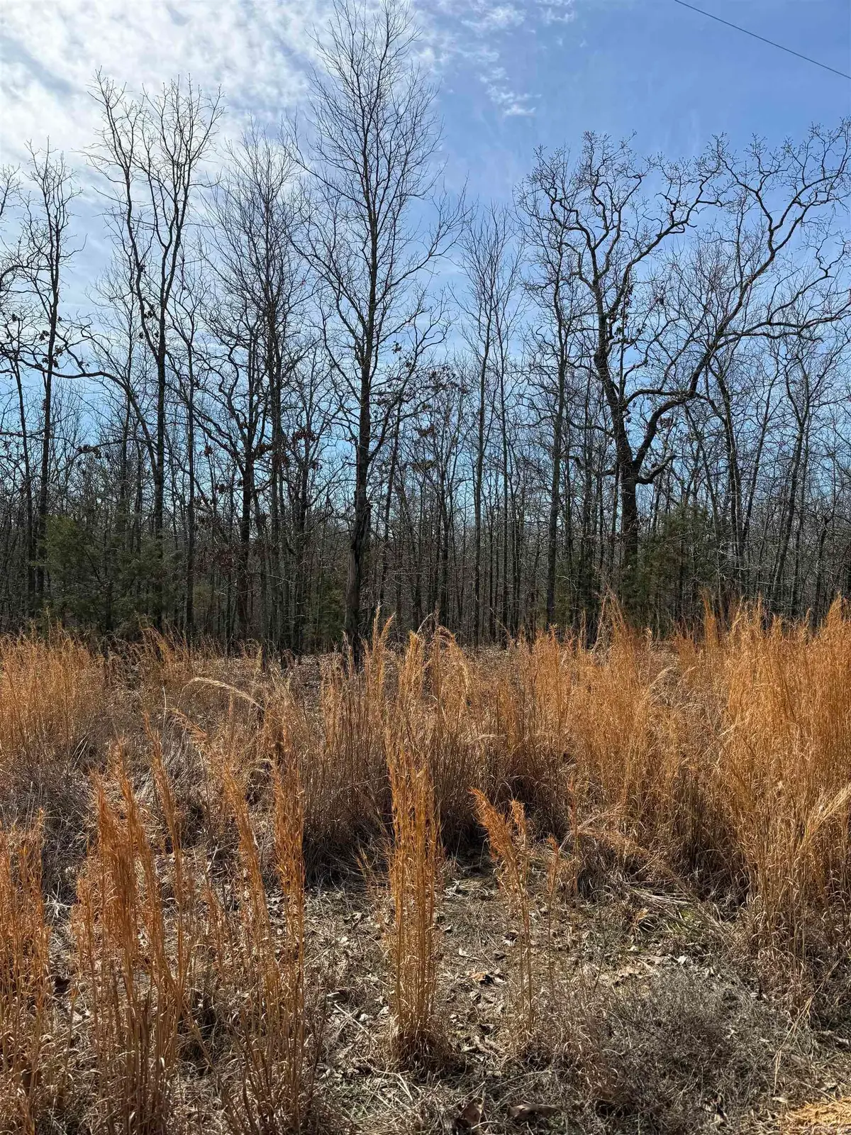 43 Megan Lane, Conway, AR 72032 - Image #1