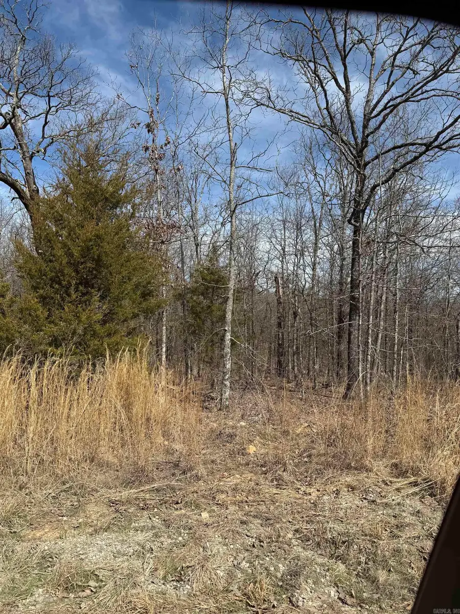 43 Megan Lane, Conway, AR 72032 - Image #2