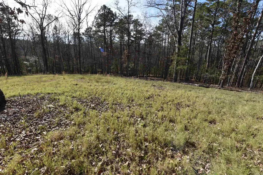 Tract 10 Sunnyside Of The Bay, Fairfield Bay, AR 72088 - Image #3