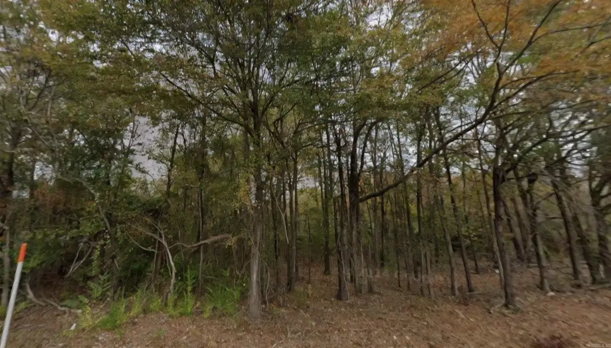 Lot 1-2 Southfield Road, El Dorado, AR 71730 - Image #1
