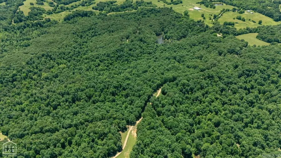 29 Acres County Road 303, Cherry Valley, AR 72324 - Image #2