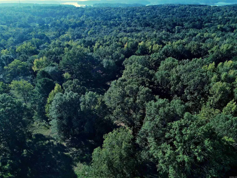 TBD Scottish Trail, Bismarck, AR 71929 - Image #3