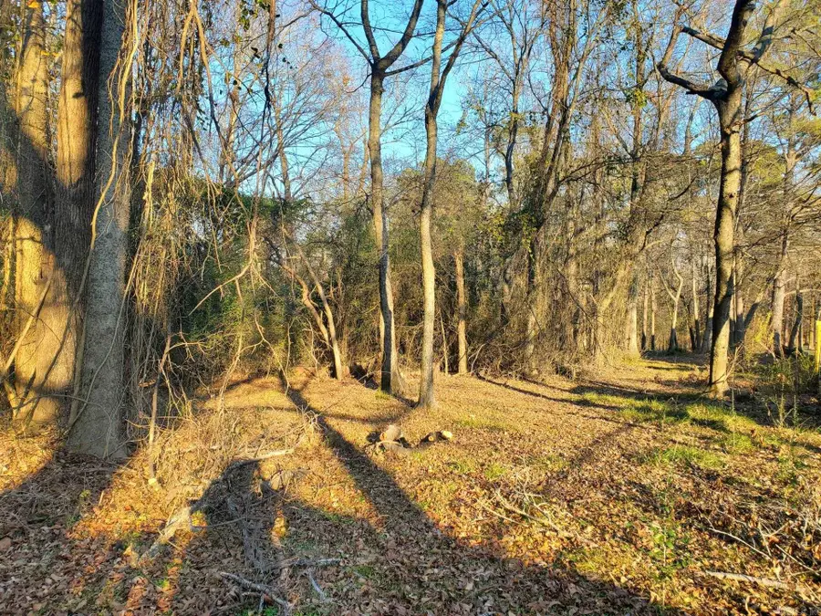 Lot 129 N 26th Street, Arkadelphia, AR 71923 - Image #3