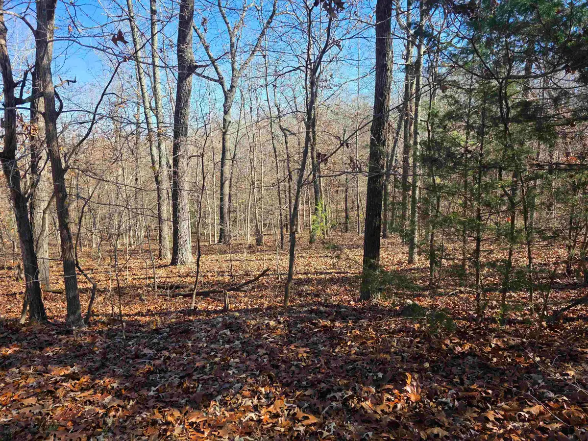 L11,B5 Wasatch Trail, Cherokee Village, AR 72529 - Image #1