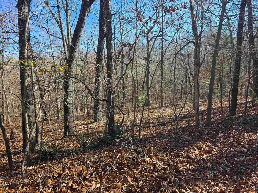 L11,B5 Wasatch Trail, Cherokee Village, AR 72529 - Image #2