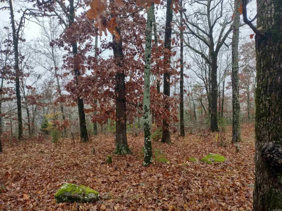 285 Rippling Shoals Ln, Melbourne, AR 72556 - Image #2