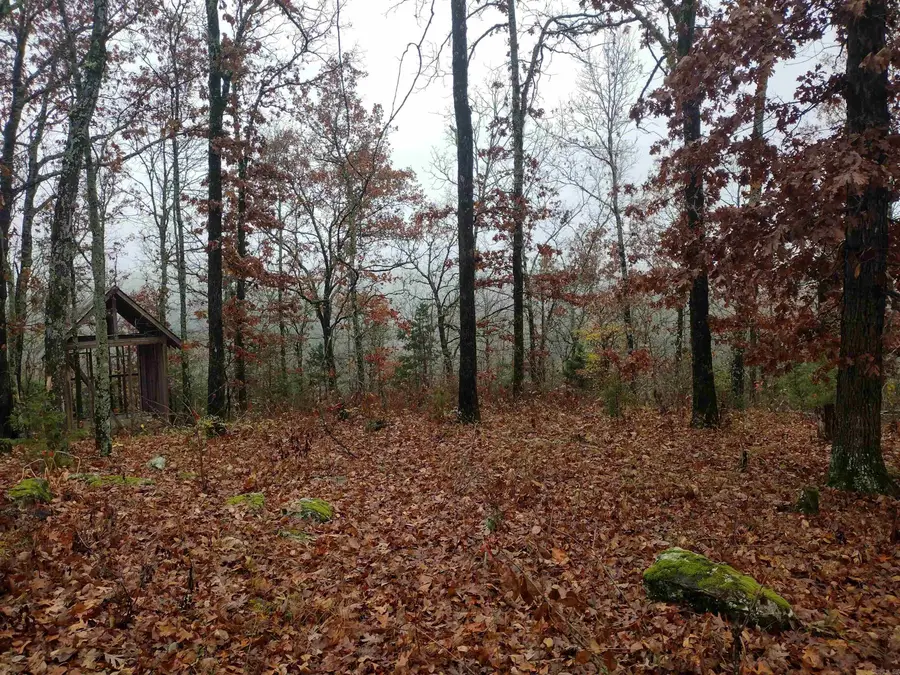 285 Rippling Shoals Ln, Melbourne, AR 72556 - Image #3