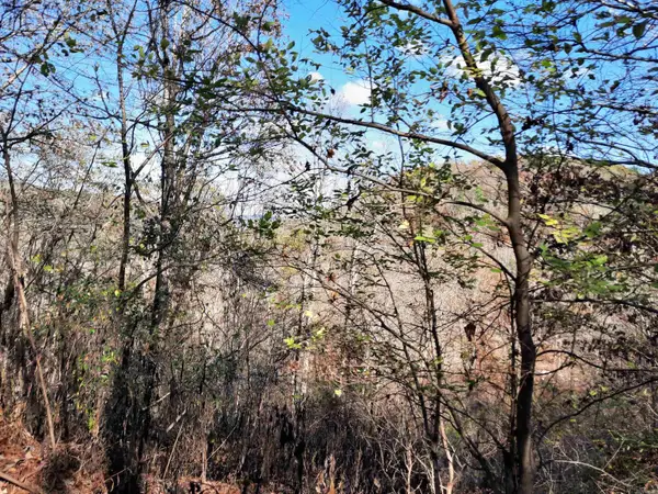 Address Withheld By Seller, Mountain View, AR 72560