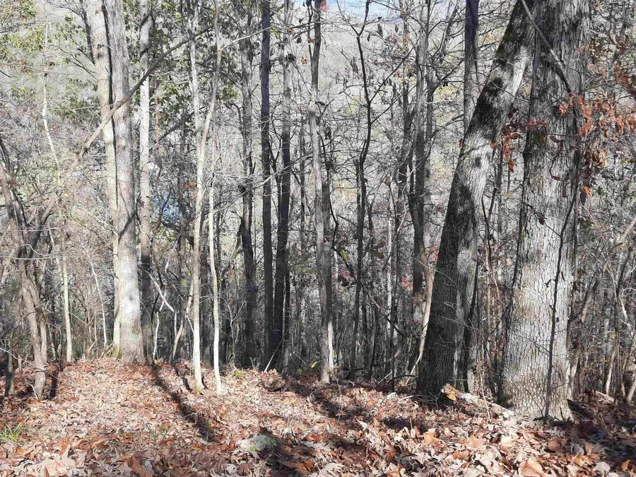 Address Withheld By Seller, Mountain View, AR 72560 - Image #2