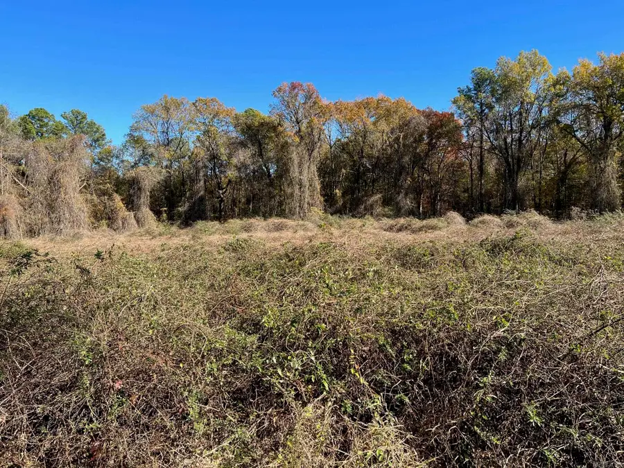 00 Sturgis Road, Pine Bluff, AR 71601 - Image #3