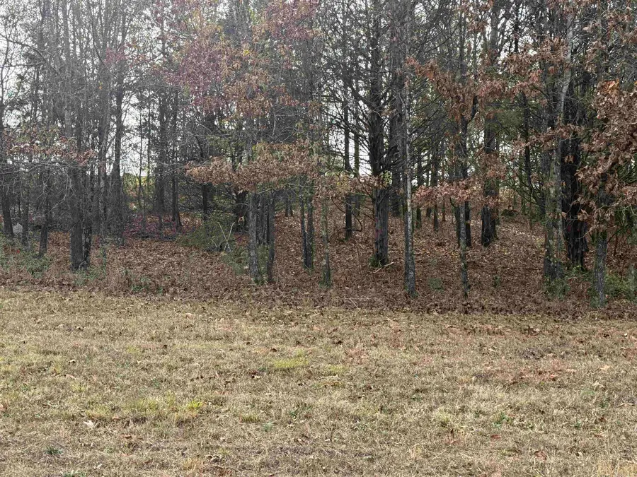 Tract 43 Rainbow Lake Road, Austin, AR 72007 - Image #3