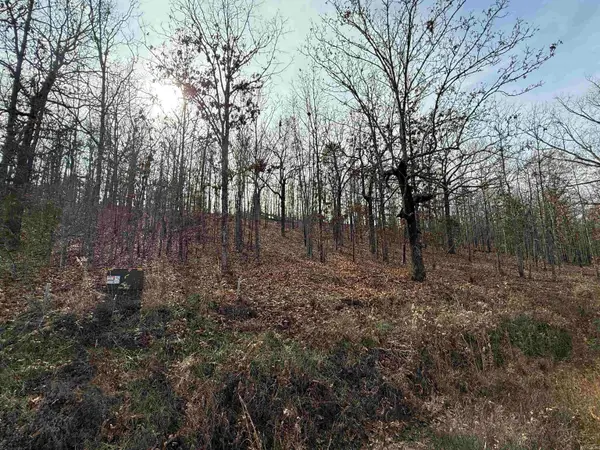 Tract 93 Vernon Court Road, Austin, AR 72007