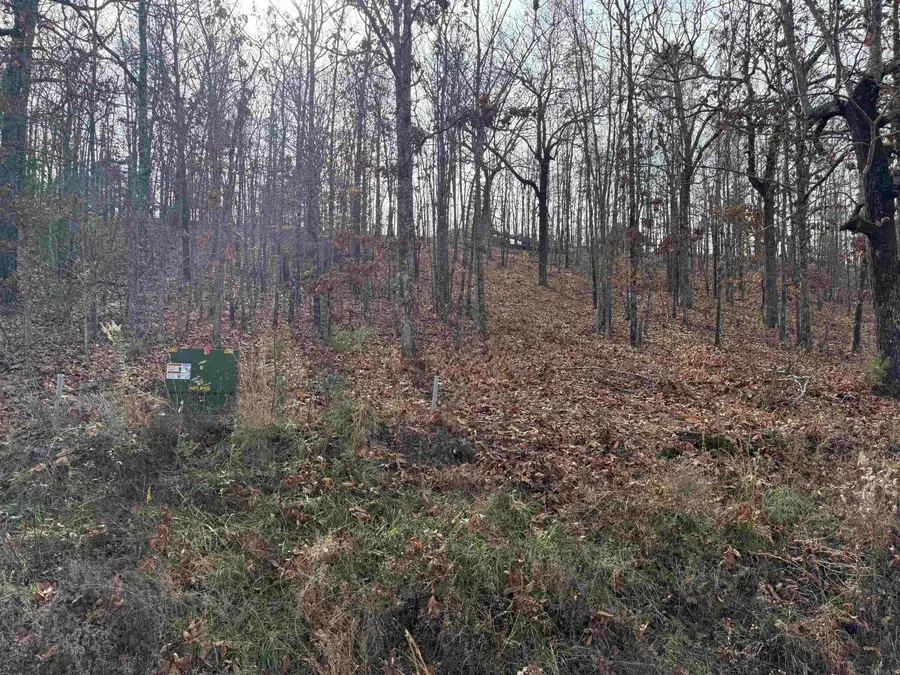 Tract 93 Vernon Court Road, Austin, AR 72007 - Image #2