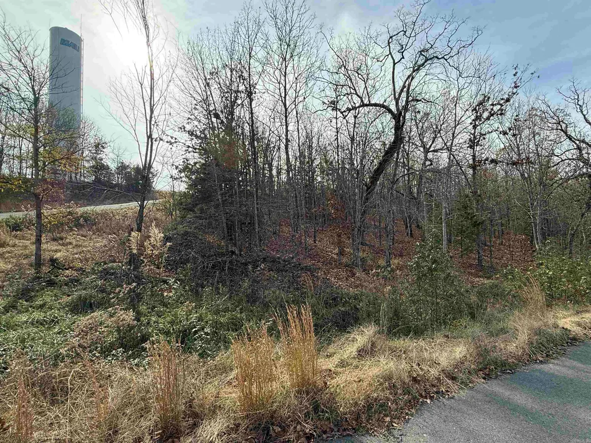 Tract 94 95 Vernon Court Road, Austin, AR 72007 - Image #1