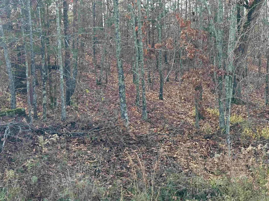 Tract 94 95 Vernon Court Road, Austin, AR 72007 - Image #2