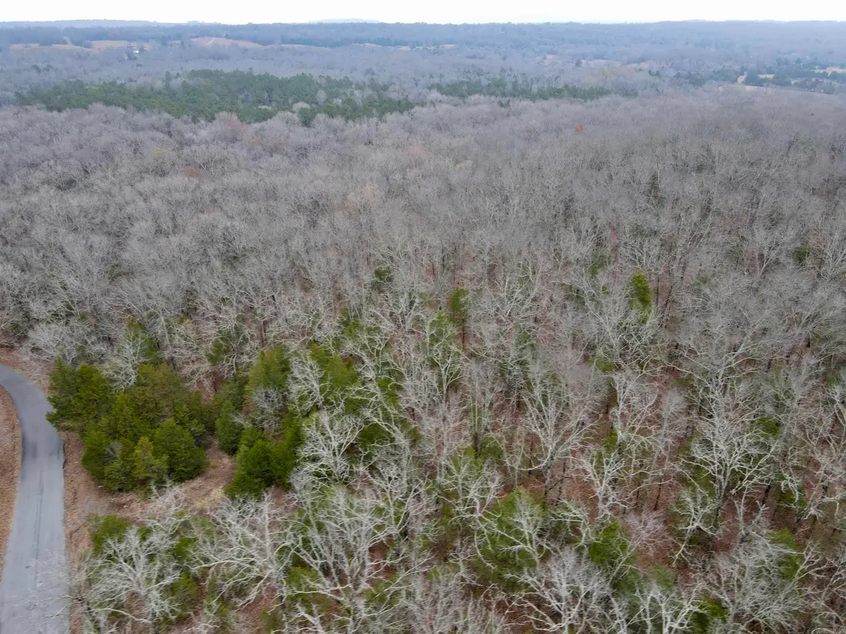 000 Mcnew Cemetery Rd, Greenbrier, AR 72058 - Image #1