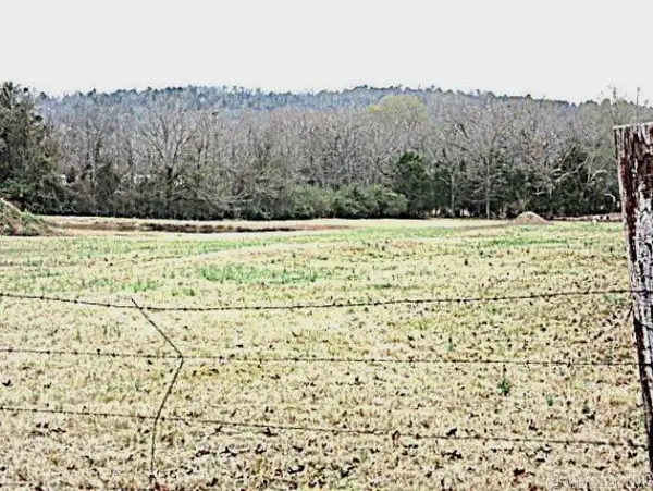 Address Withheld By Seller, Greenbrier, AR 72058